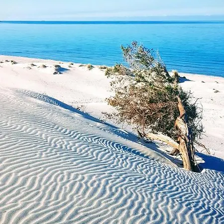 L' Albero Della Vita #latuacasainsardegna Apartment