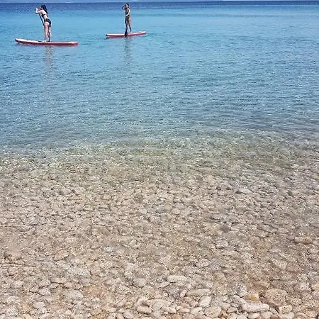 L' Albero Della Vita #latuacasainsardegna * Carbonia